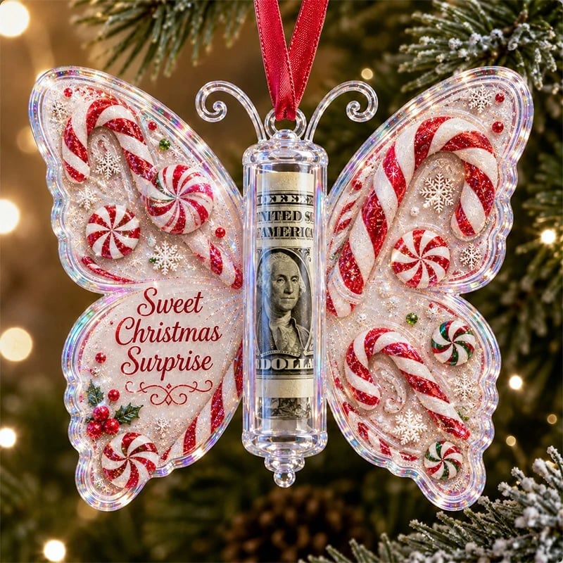 🦋💵 Cadeaux de Noël décorés de papillons – Pochettes-souvenirs de Noël pour l'argent 🎄✨
